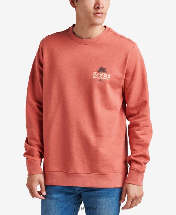 Reef NZ 62JVZ739 - Bora Pullover Crewneck Men Clay Reef