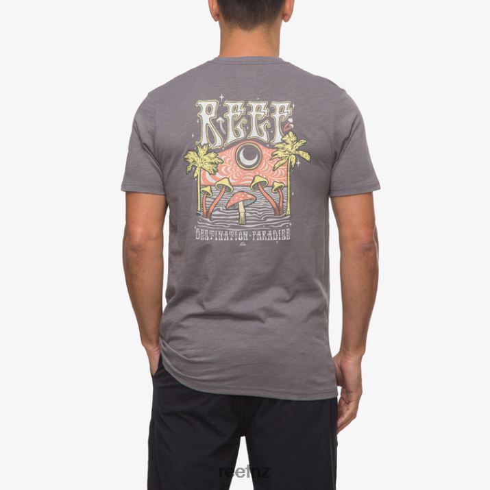 Reef NZ 62JVZ574 - Paradise Poster Short Sleeve Tee Men Quiet Shade Reef