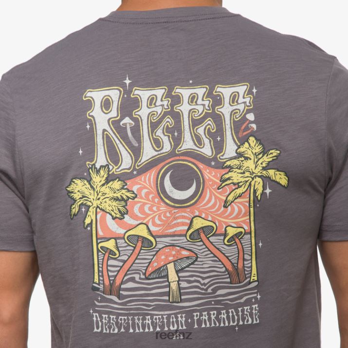 Reef NZ 62JVZ574 - Paradise Poster Short Sleeve Tee Men Quiet Shade Reef