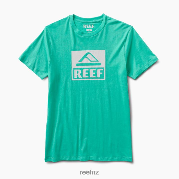 Reef NZ 62JVZ583 - Driver Short Sleeve Tee Men Electric Green Reef