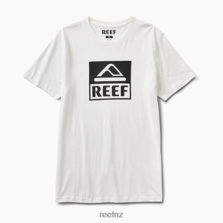 Reef NZ 62JVZ605 - Driver Short Sleeve Tee Men Marshmallow Reef