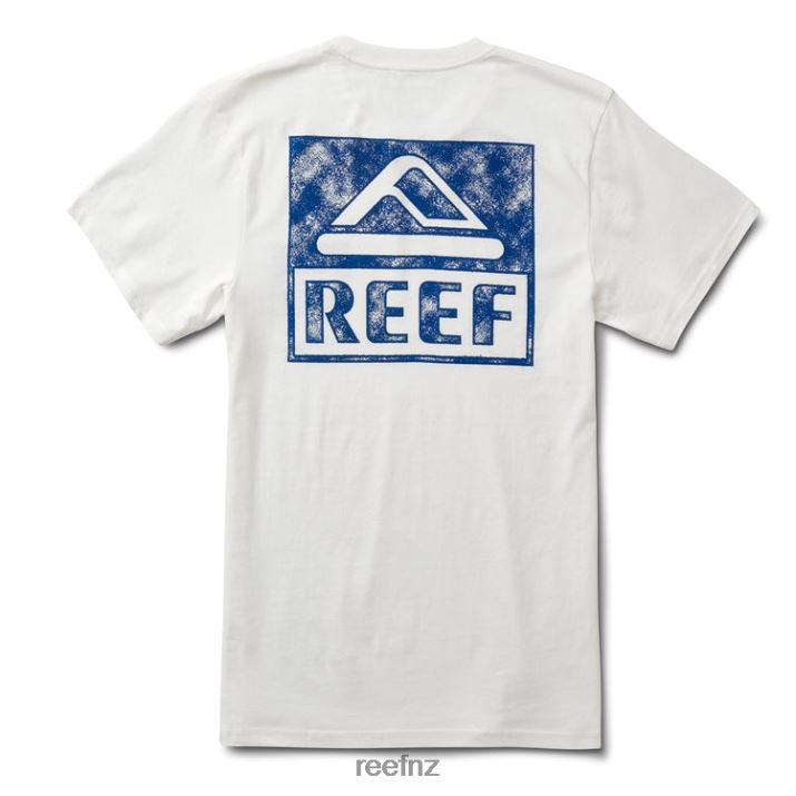 Reef NZ 62JVZ621 - Wellie Graphic Tee Men Marshmallow Reef