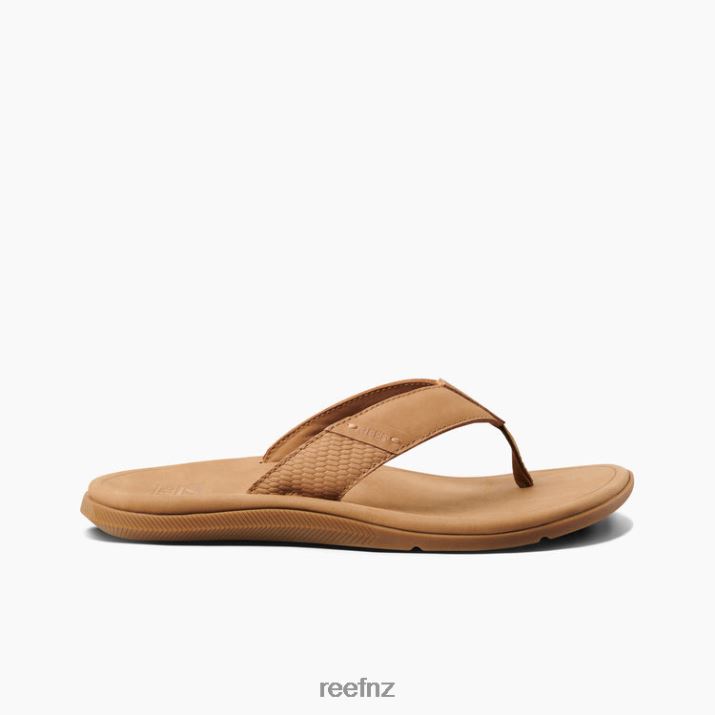 Reef Shoes NZ 62JVZ318 - Leather Santa Ana Men Tan Reef