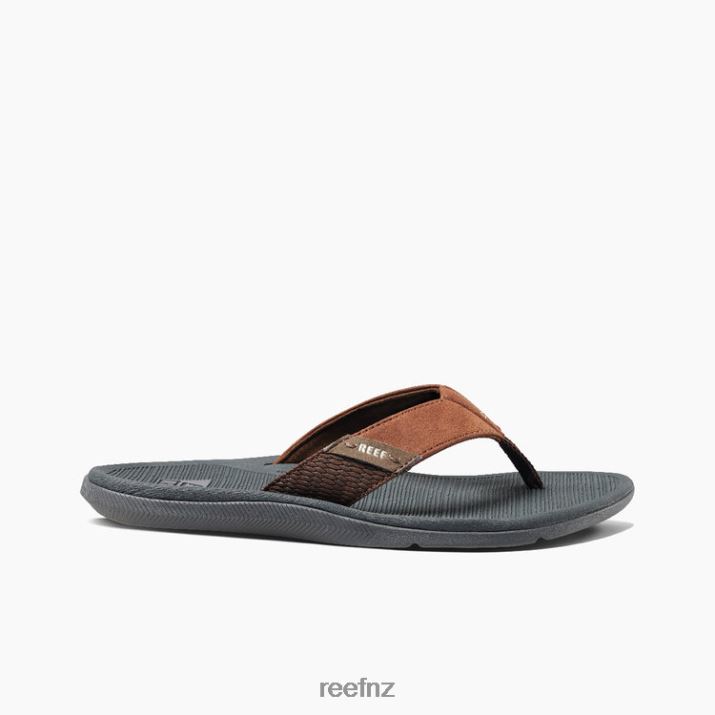Reef Shoes NZ 62JVZ320 - Reef Santa Ana Men Grey/Tan
