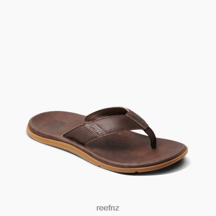 Reef Shoes NZ 62JVZ365 - Leather Santa Ana Men Dark Brown Reef