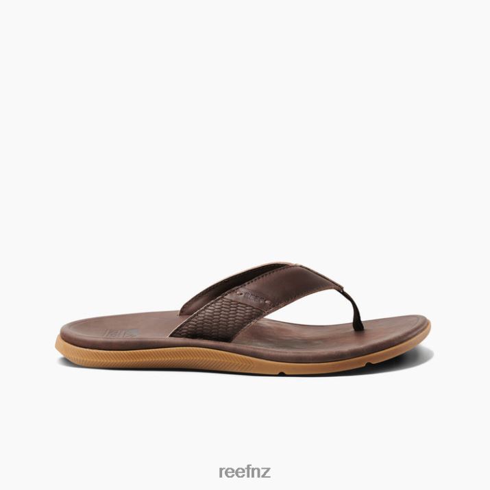 Reef Shoes NZ 62JVZ365 - Leather Santa Ana Men Dark Brown Reef