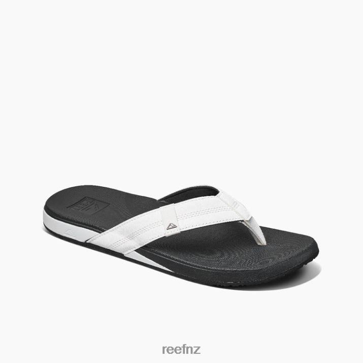 White/Charcoal