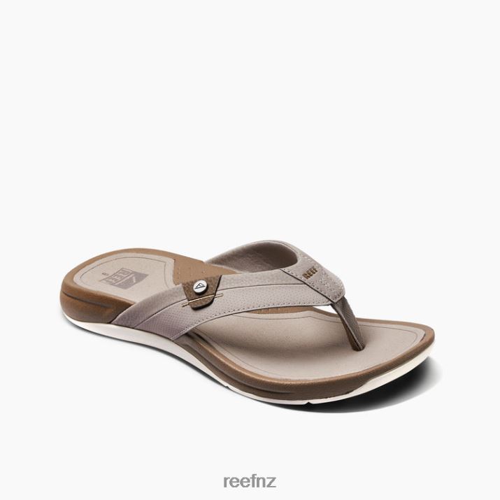 Taupe/Fossil