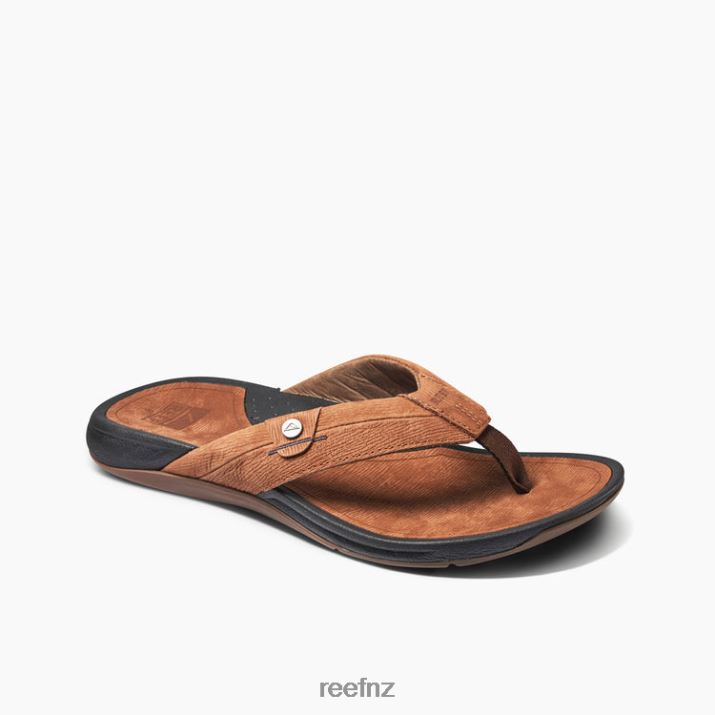 Black/Brown