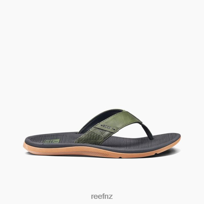 Reef Shoes NZ 62JVZ472 - Reef Santa Ana Men Geo Olive/Gum