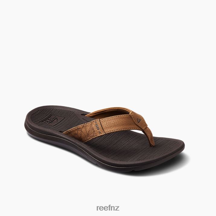 Reef Shoes NZ 62JVZ151 - Santa Ana Women Espresso Reef