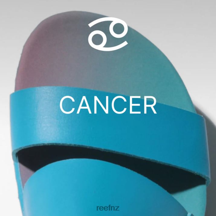 Reef Shoes NZ 62JVZ162 - Reef X Sanctuary Cushion Vista Hi Women Cancer
